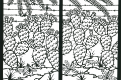 Horned Toads and Hummingbirds at the Border