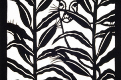 FLORA & FAUNA OF MEXICO / DEER