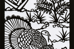 FLORA & FAUNA OF MEXICO / TURKEY